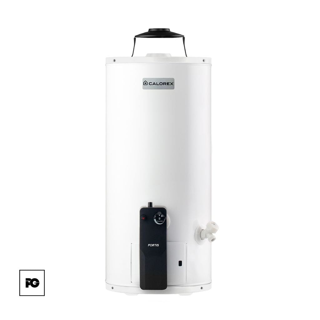 Boiler de depósito Fortis de gas natural para 1 servicio.