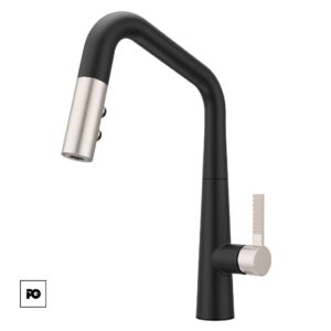 Modern black kitchen faucet with brushed metal spout over a stainless sink in a bright